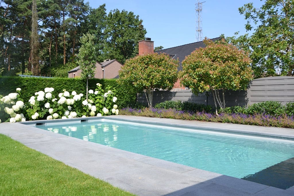 Moderne tuin met zwembad